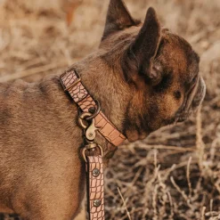 Best Dog Collar Womens Small Leather Goods