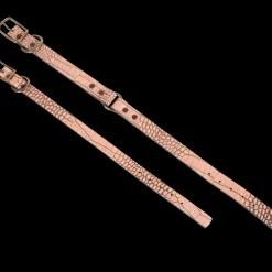 Best Dog Collar Womens Small Leather Goods