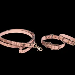 Best Dog Collar Womens Small Leather Goods