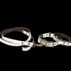 Fashion Dog Collar Womens Small Leather Goods