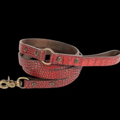 Best Dog Leash Womens Small Leather Goods