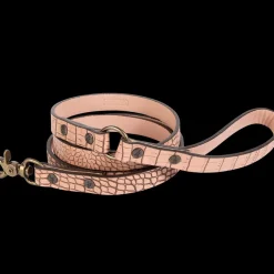 Outlet Dog Leash Womens Small Leather Goods