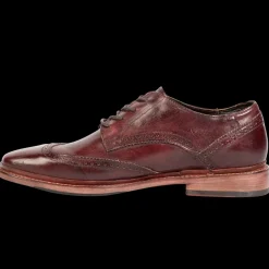 Best Kensington Mens Dress